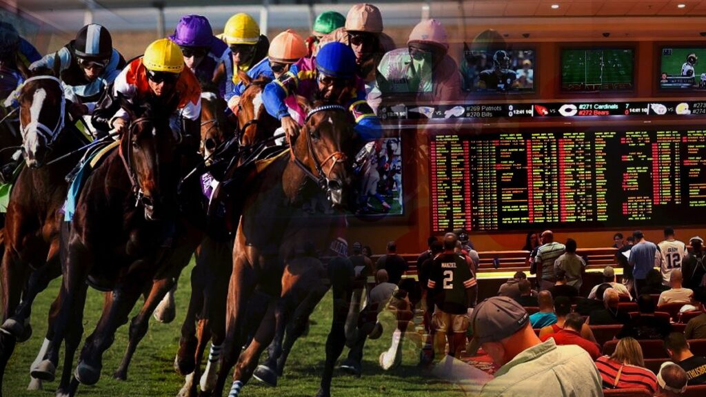 The Basics of Horse Racing Betting
